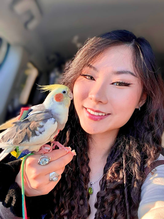 Why Cockatiels make AMAZING Pets!